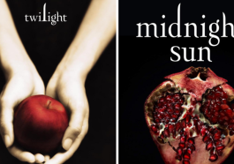 Midnight Sun Sequel? This Clue Has Fans Buzzing