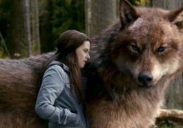 Fan Theory Suggests Jacob Was Never Meant to Be a Werewolf